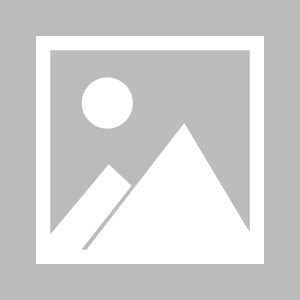  因西涅伤缺四周,多伦多FC战绩下滑  